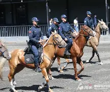 尼斯训练开放日,加时末段强势反弹引欢呼,国王杯在即,细节决定成败(法国尼斯恐怖袭击和欧洲杯) 尼斯训练开放日,加时末段强势反弹引欢呼,国王杯在即,细节决定成败(法国尼斯恐怖袭击和欧洲杯)